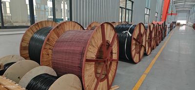 Shandong Jinyu Cable Co., Ltd. üreticinin üretim hattı
