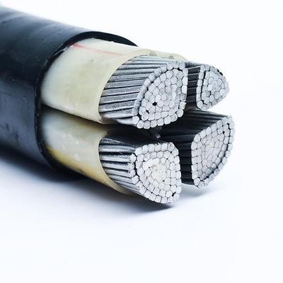 Müşterinin Gereksinimleri Bakır iletkenli XLPE yalıtımlı düşük gerilimli güç kablosu